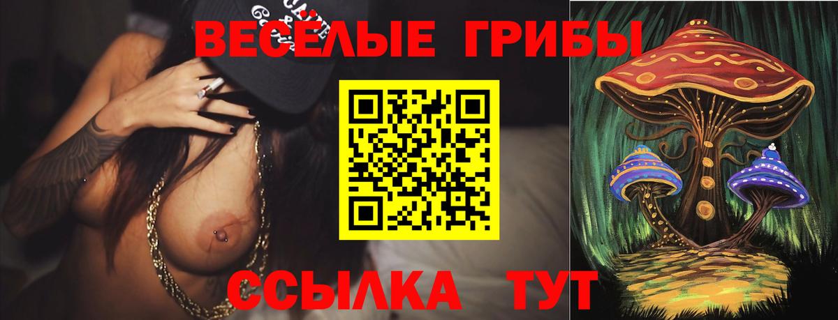 Псилоцибиновые грибы ЛСД Выкса